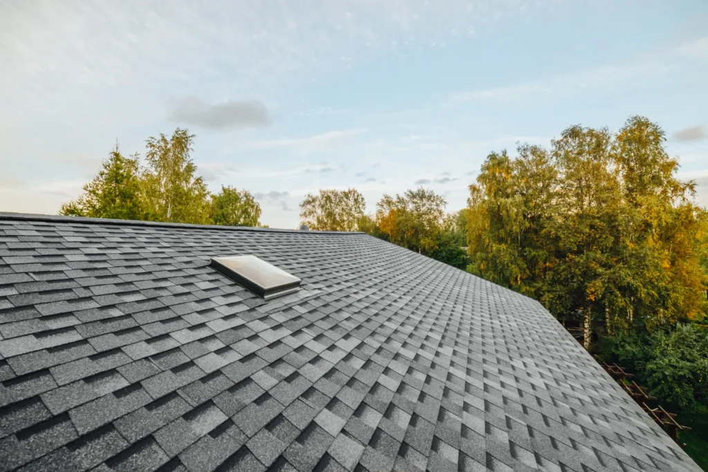 Shingle Roof In Ohio