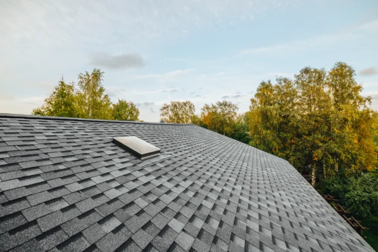 Shingle Roof In Ohio